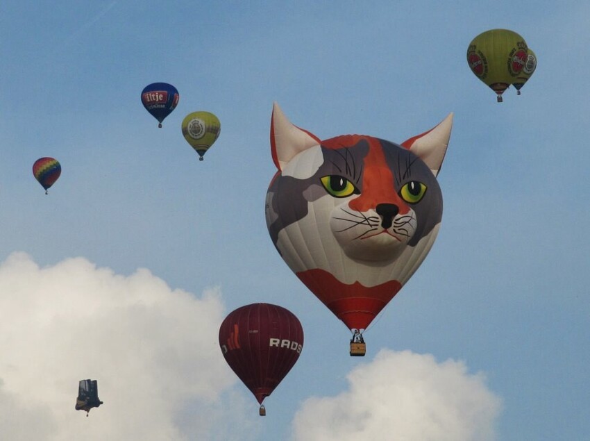 Фестиваль воздушных шаров 