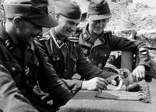 Немецкие солдаты играют с бездомным котенком. Вторая мировая, 1943 год.