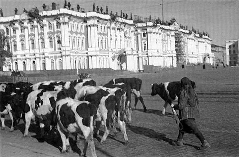 1941. Блокадный Ленинград