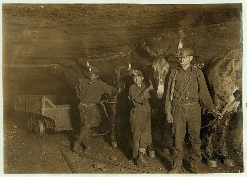 9. Мальчики-шахтёры и тяговые мулы в одной из угольных шахт Западной Виргинии. 1908 год.