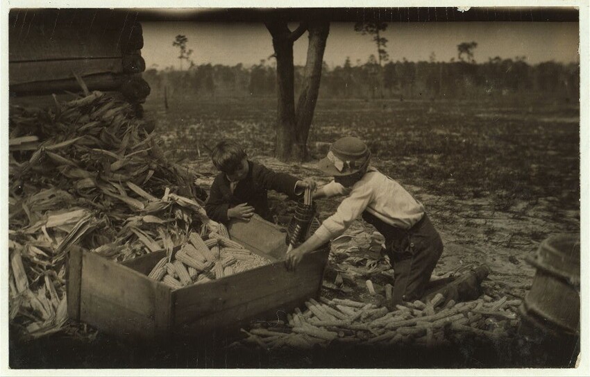 12. Дети чистят кукурузу в учебное время на одной из ферм Дублина, Джорджия. 1915 год.