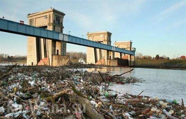 Мусор из Украины поплыл в Венгрию.