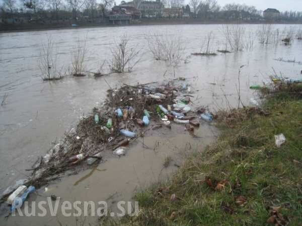 Мусор из Украины поплыл в Венгрию.