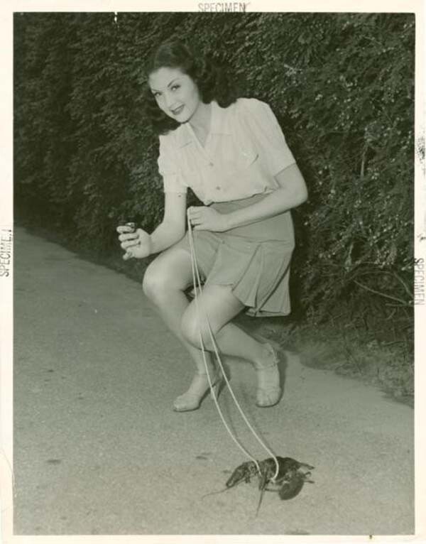 Девушка выводит своего домашнего омара на прогулку, 1950