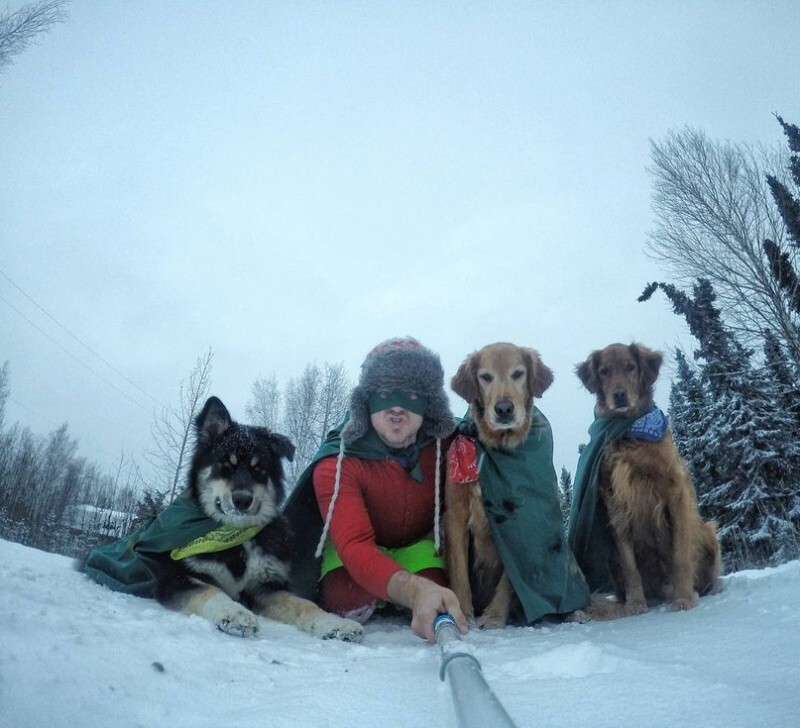 Стоматолог из Аляски и его собаки покорили интернет