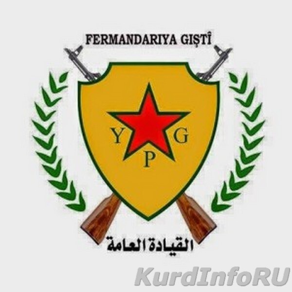 Россия начала военную поддержку сирийских курдов