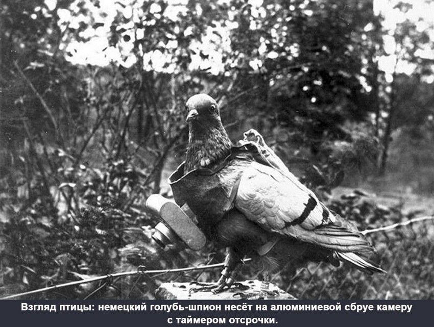 15 странных изобретений Первой Мировой Войны 