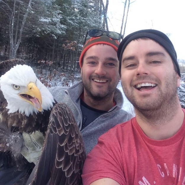 И вот результат: два канадских парня и спасенный ими белоголовый орлан позируют для фото. "Все говорят, что это селфи года", – поделился Майкл.