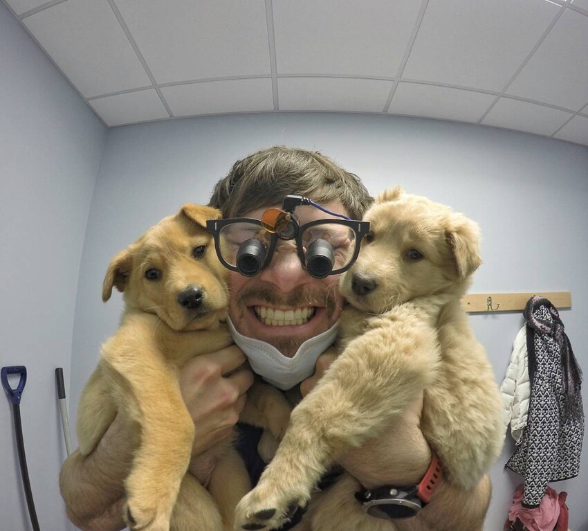 Стоматолог Тим и его собаки  