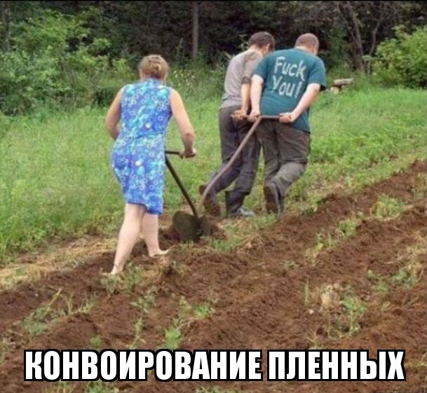 Война полов