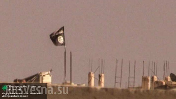 Террористы из Казахстана украли зарплату ИГИЛ