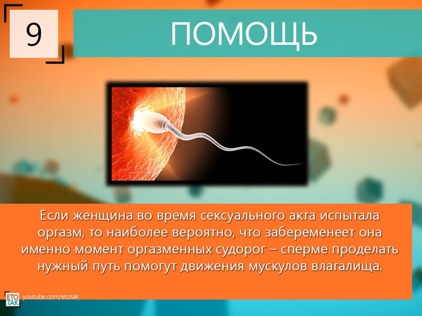 10 Фактов про СЕКС