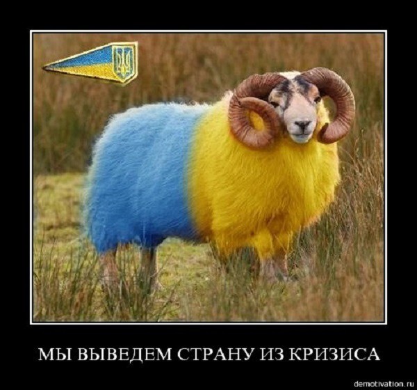 Нет работы? — служи в армии!  (Страна 404).