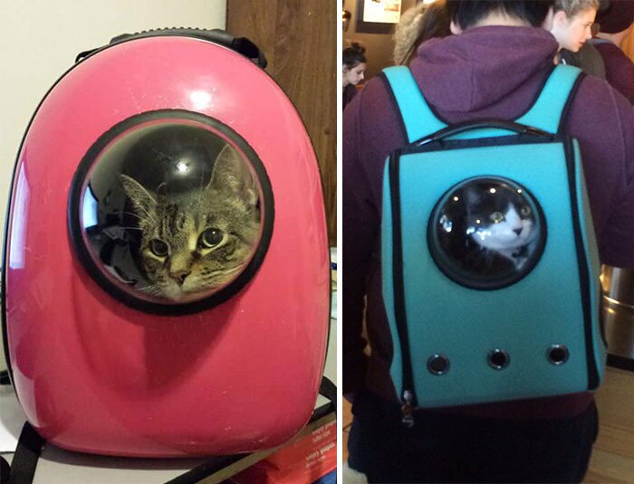 Рюкзак-переноска с иллюминатором, который позволит коту почувствовать себя космонавтом 
