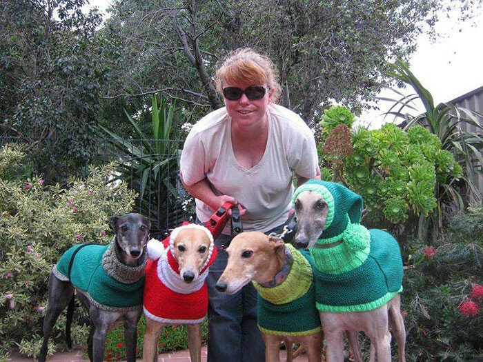Джен Браун уже связала более 300 свитеров для грейхаундов