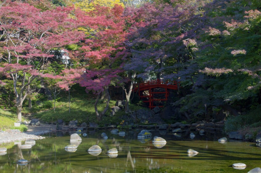 Красивый ландшафтный сад-парк в Токио