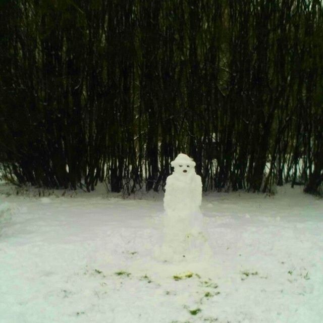 Снеговики в наших дворах!