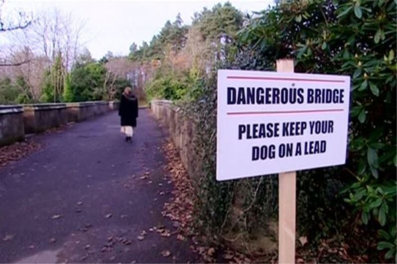 ​Таинственное явление: охотясь за самоубийцей, 600 собак прыгнуло с моста