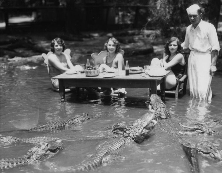Женщины-туристки позируют с аллигаторами на ферме аллигаторов в Лос Анджелесе, 1920-е