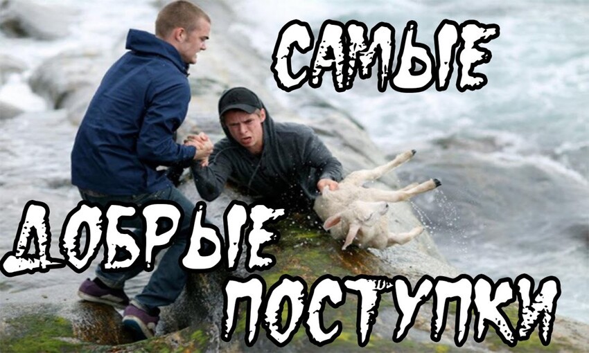 Самые добрые поступки! 