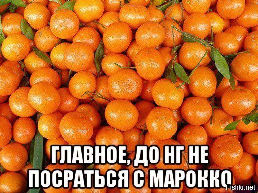 Из солянки