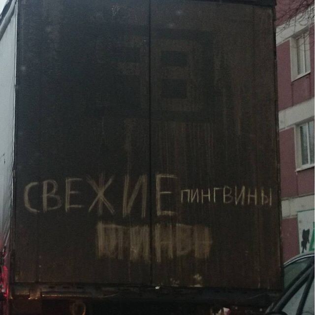 Свежие? Кто?