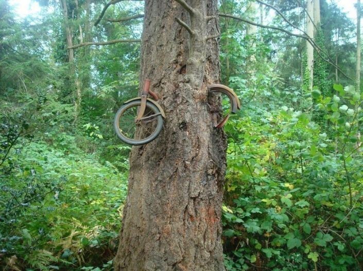 3. Юноша отправился на войну в 1914 году и прислонил велосипед к дереву.