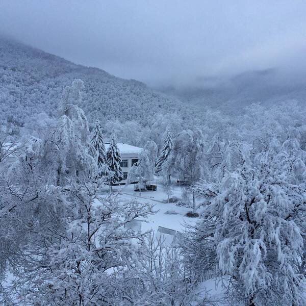 Дальнегорск. 03.12.2015 г. Детский сад "Сказка".