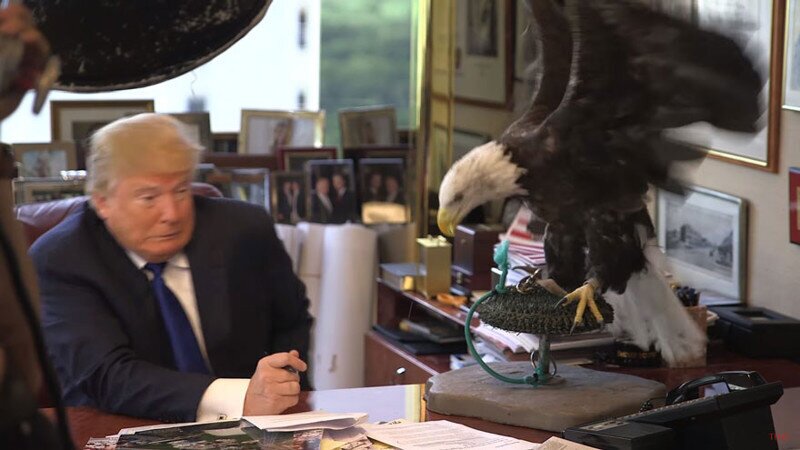 Дональда Трампа атаковал орел по кличке Дядя Сэм