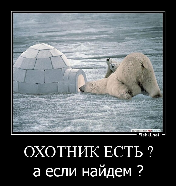 Охотник есть?