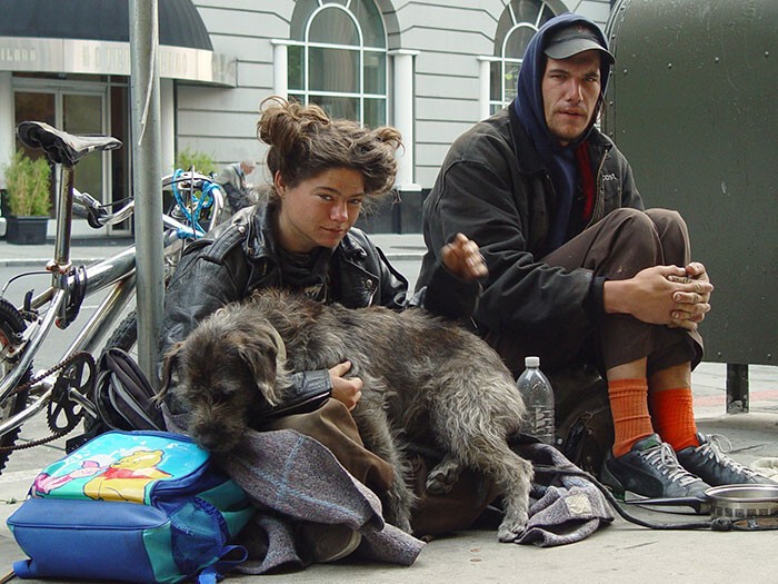 24. Бездомная пара с питомцем 