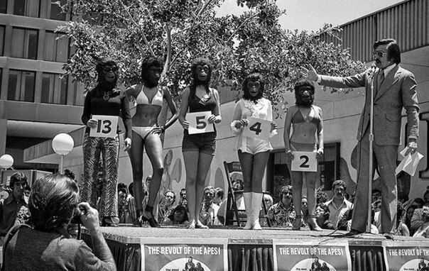 Участницы конкурса красоты "Мисс Прекрасная Обезьяна", 1972 год