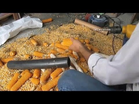 Очистка початков кукурузы от зерна 