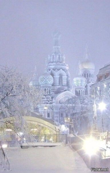 Зимний вечер в Санкт-Петербурге