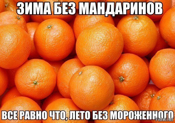 Из солянки