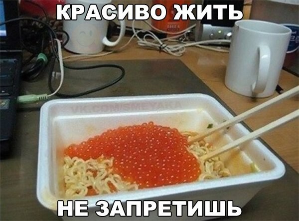 Смешные картинки с надписями