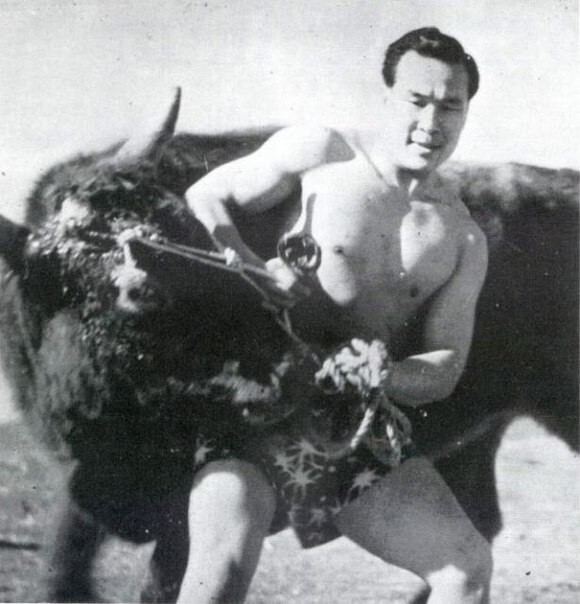Масутацу Ояма (создатель стиля каратэ-до Кёкусинкай) бьётся с быком.