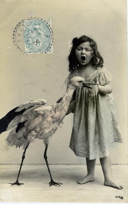 Почтовая открытка. Франция. 1900-е.