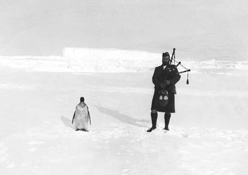 Член шотландской антарктической экспедиции и пингвин, 1904 год.
