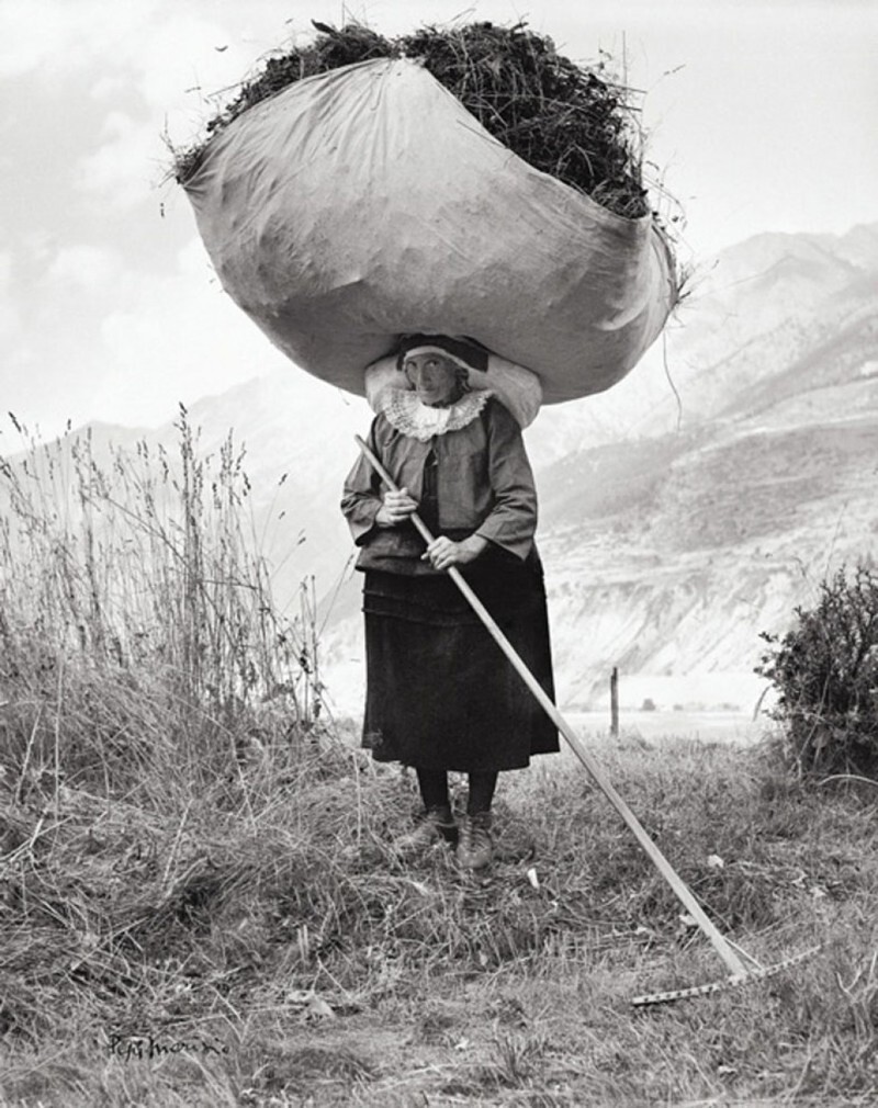 Сенокос в Италии, 1959 год.