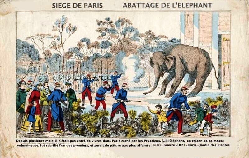 Рождество, во время которого парижане съели зоопарк
