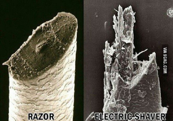 Мужская щетина после бритья под микроскопом