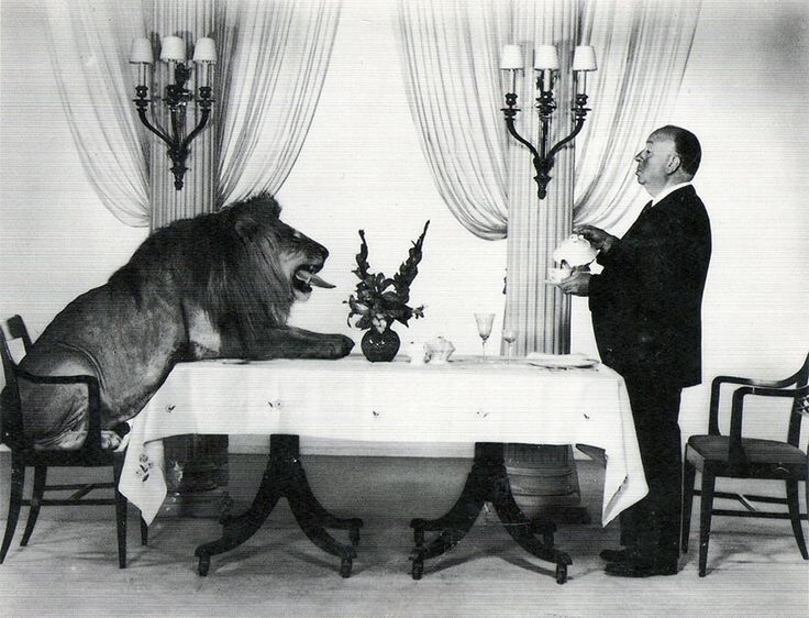 Альфред Хичкок пьет чай со львом, который красовался в начальной заставке киностудии MGM, 1957