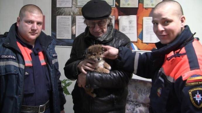 В Новошахтинске спасли щенка, у которого голова застряла в плафоне