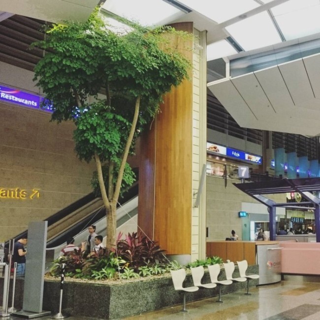 Сингапурский аэропорт Чанги вновь признан лучшим аэропортом мира