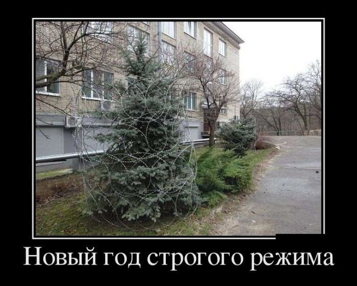 15. 