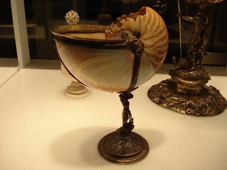 Чаша, изготовленная из раковины наутилуса помпилиуса, XVI век.
