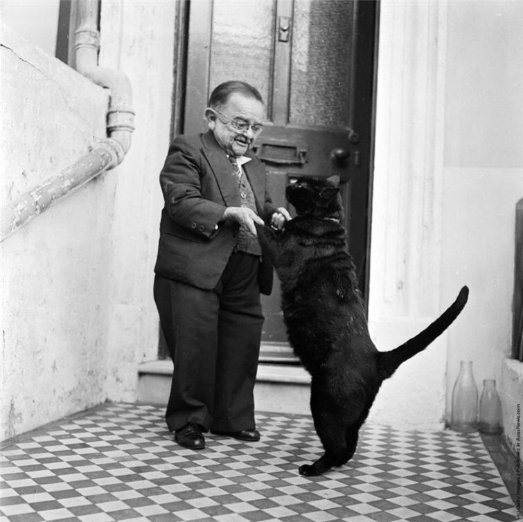 Генри Беренс — самый маленький человек в мире, танцует со своей кошкой, 1956 год.