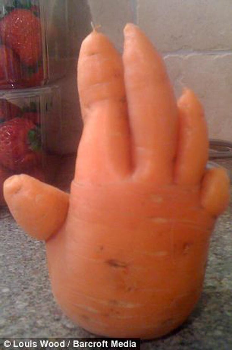 Морковка в виде руки