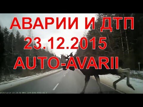 Аварии и дтп видео подборка,декабрь 2015 